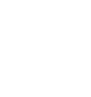 CC-Logo Common Cents