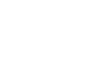Kidneys for russians logo