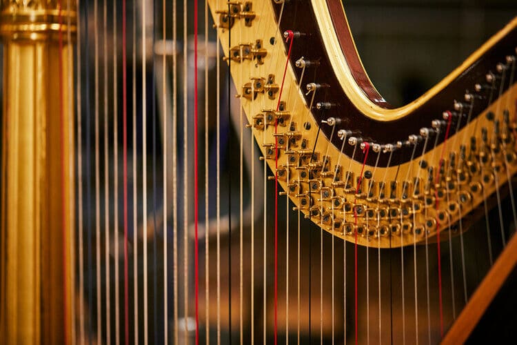 harp-lesson Harp Lesson Be Natural Music School