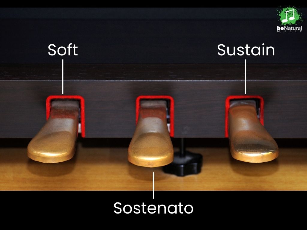 Piano Pedals  What Do The 3 Pedals on a Piano Do?